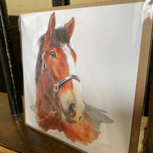 Brigadier Shire Horse Greeting Card