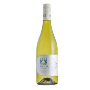 Chafor Bacchus