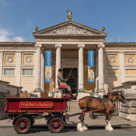 Hook Norton Brewery's horse drawn dray delivering to The Ashmolean Museum in Oxford