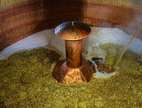 Hook Norton Brewery Tours