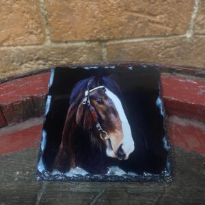 Cromwell Shire Horse Slate Coaster