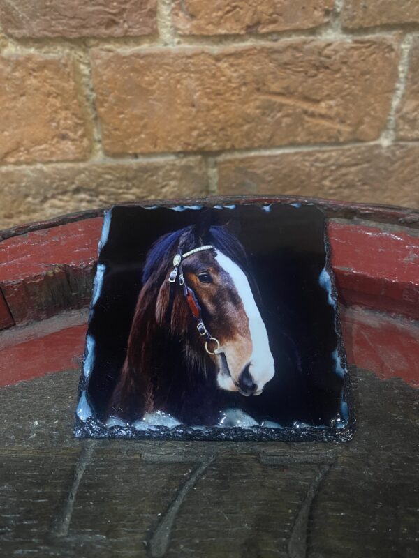Cromwell Shire Horse Slate Coaster