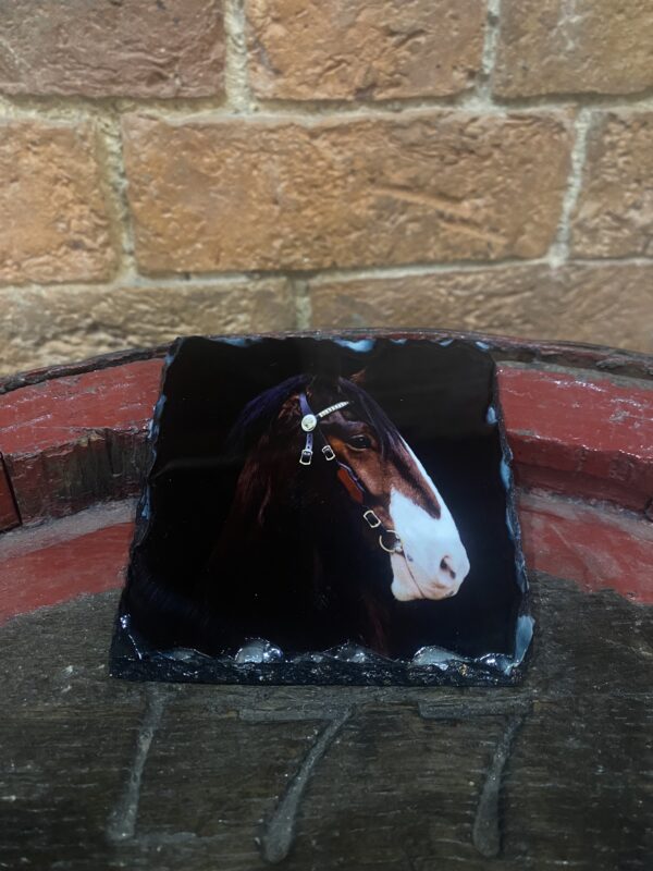 Balmoral Shire Horse Slate Coaster