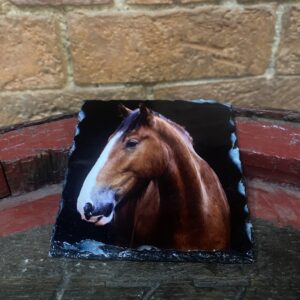 Brigadier Shire Horse Slate Coaster