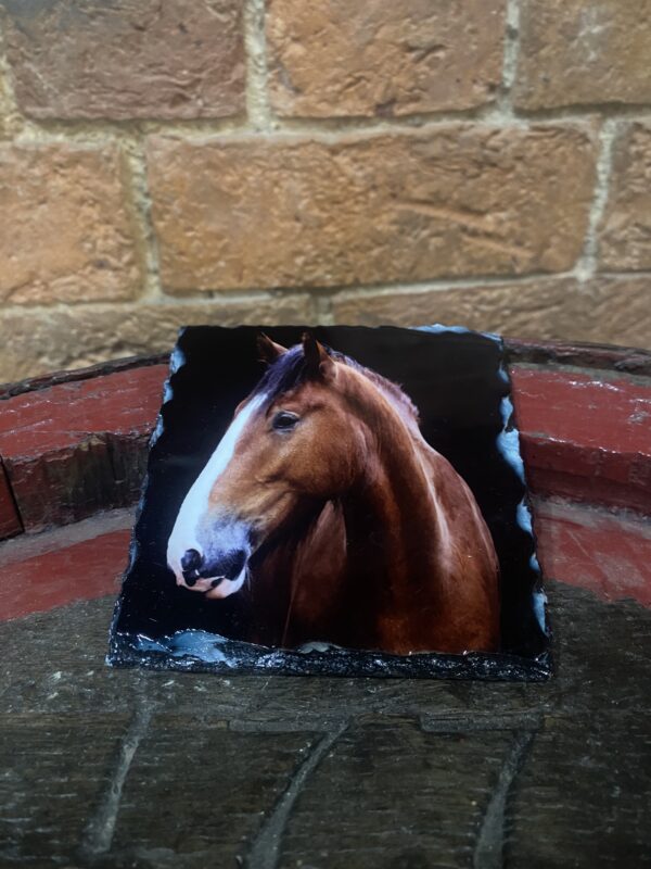 Brigadier Shire Horse Slate Coaster