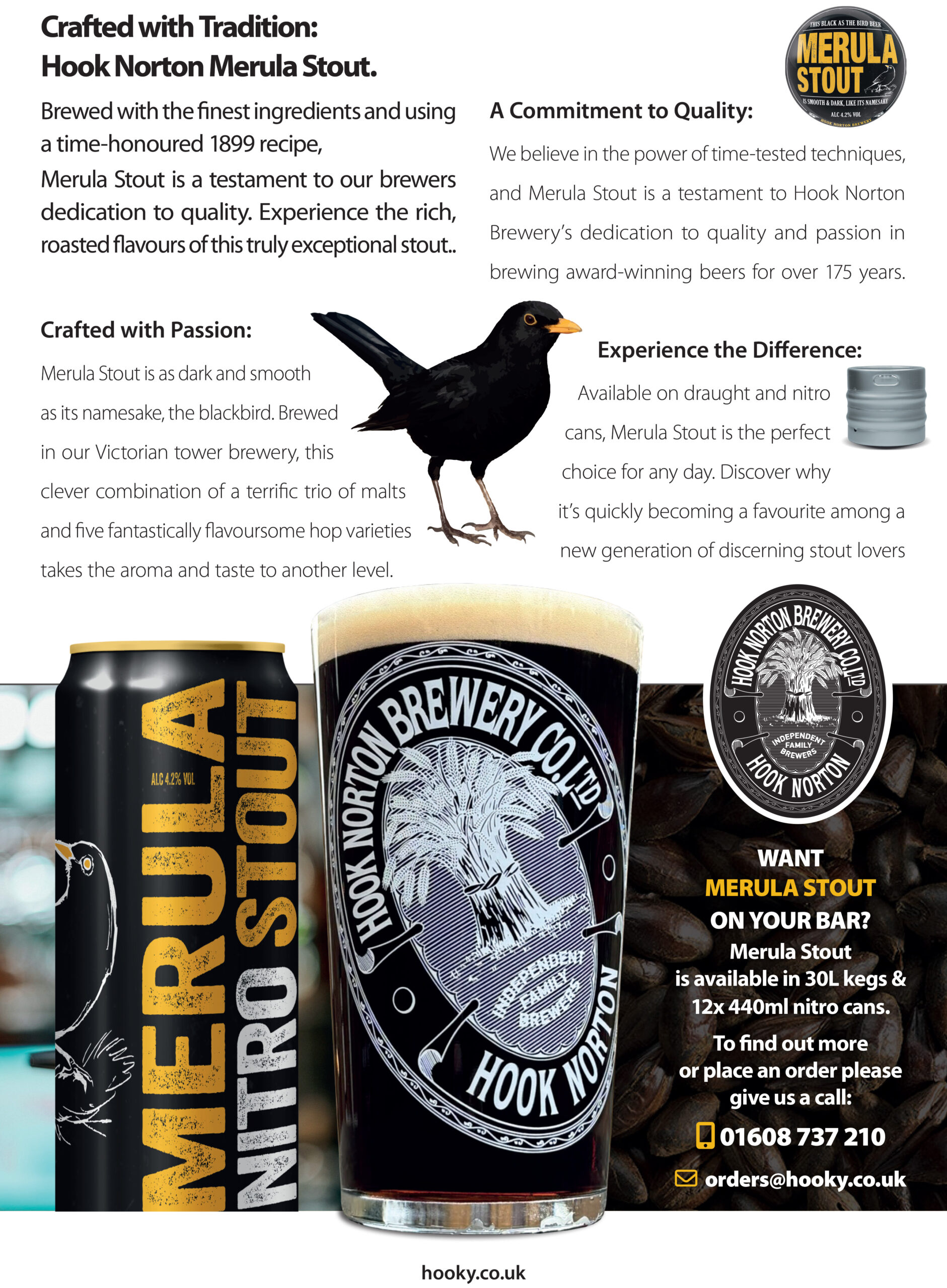 Merula Stout