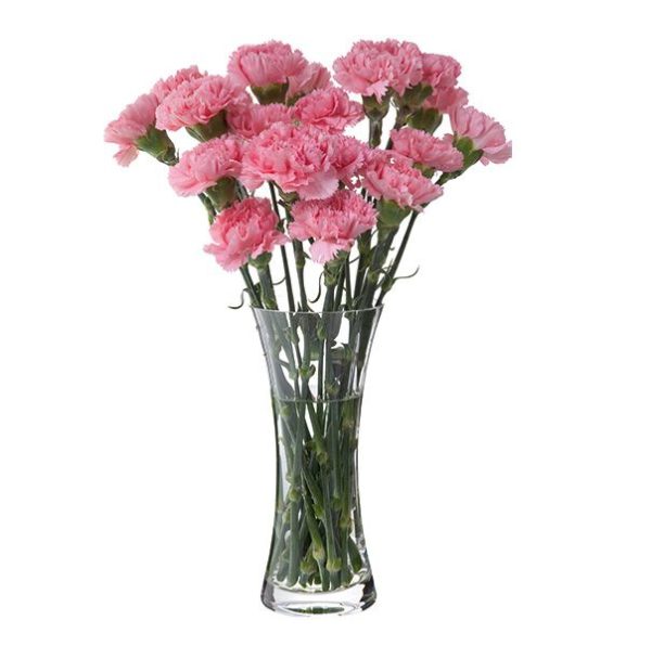 Florabundance Carnation Vase