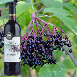 Elderberry Wine