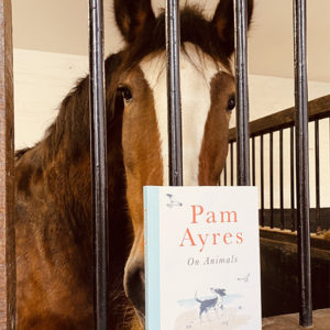 Pam Ayes On Animals