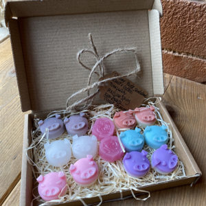 12 Handcrafted Piglets Soy Wax Melts