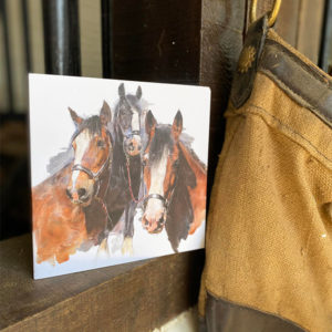 Shire Horse Greeting Card